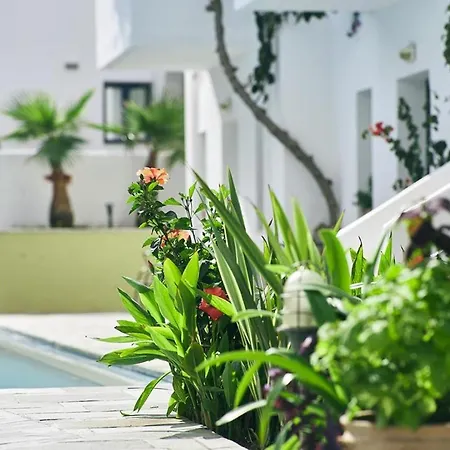Eva Suites & 3*